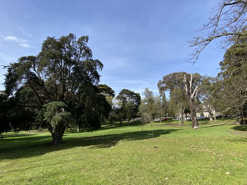 Albert Jones Reserve Dog Off Leash Area (Eaglemont)