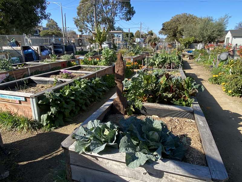 Altona Community Garden