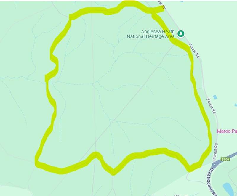 Anglesea Heathland - Shiney Eye Circuit Walk