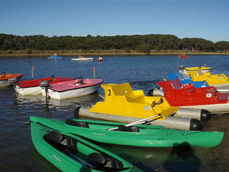 Anglesea Paddle Boat and Canoe Hire