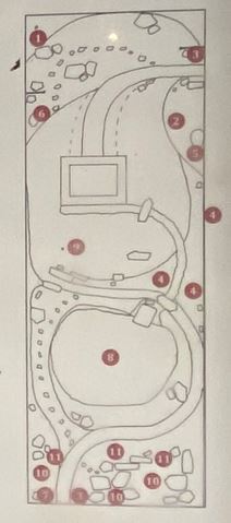 Avoca Chinese Garden Layout