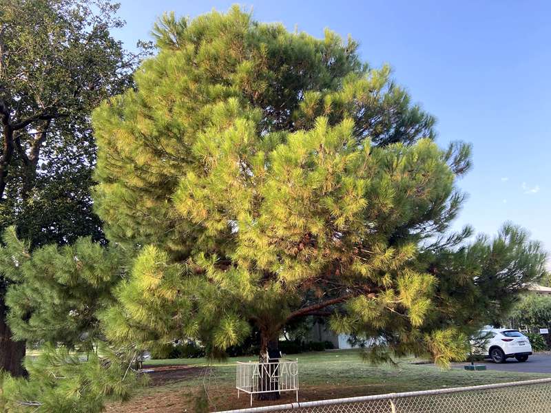 Bacchus Marsh Heritage Trail