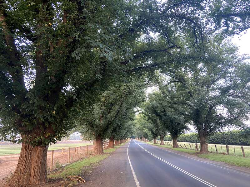 Bacchus Marsh Heritage Trail