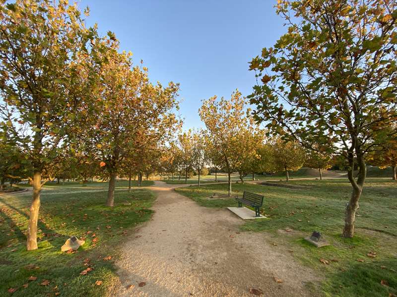 Ballarat - Pioneer Park Dog Off Leash Area (Wendouree)