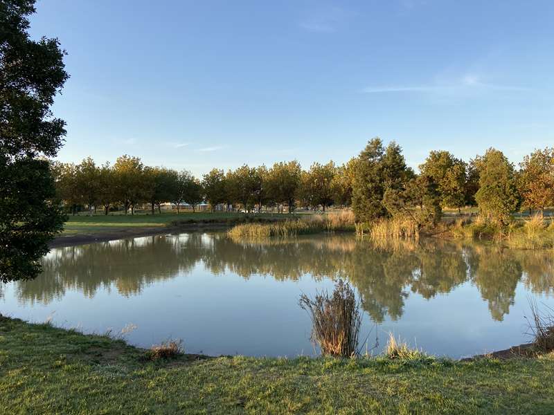 Ballarat - Pioneer Park Dog Off Leash Area (Wendouree)