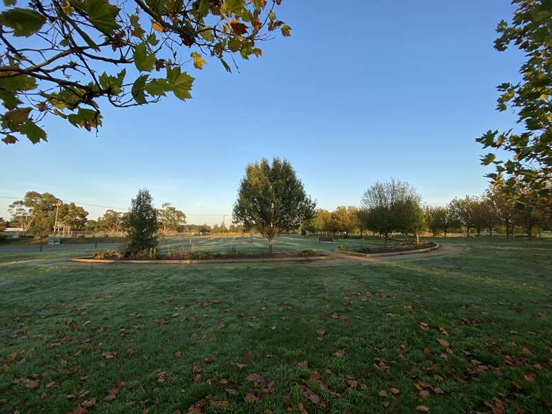 Ballarat - Pioneer Park Dog Off Leash Area (Wendouree)