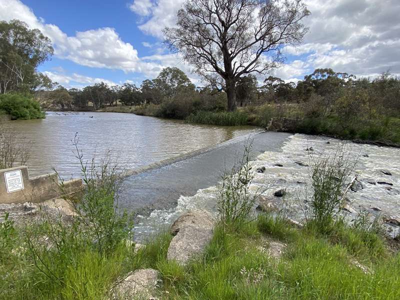 Baringhup - Loddon River to Cairn Curran Weir Walk