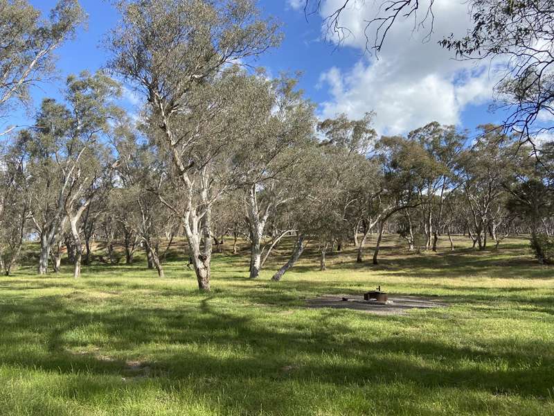 Baringhup West - Hamiltons Crossing Waterhole and Campsite