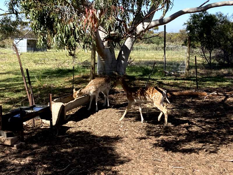 Barraport - Piccoli's Spanner Sculptures