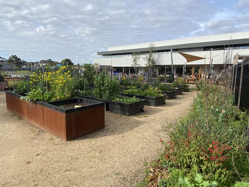 Bellfield Community Garden (Bellfield)