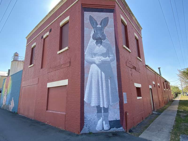 Benalla Street Art