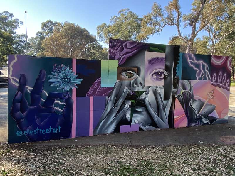 Benalla Street Art