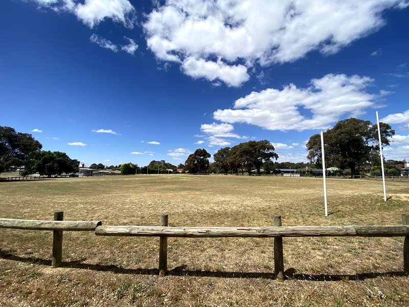 Bendigo - Allingham Street Recreation Reserve Dog Off Leash Area (Golden Square)