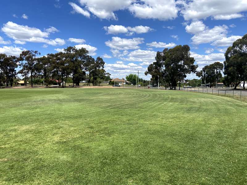 Bendigo - California Gully Oval Dog Off Leash Area (California Gully)