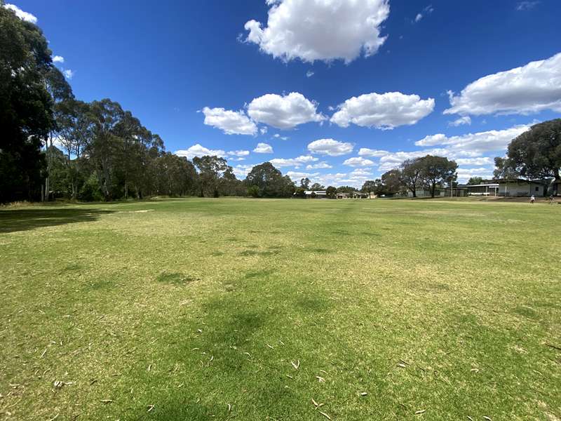 Bendigo - Finn Street Reserve Dog Off Leash Area (White Hills)