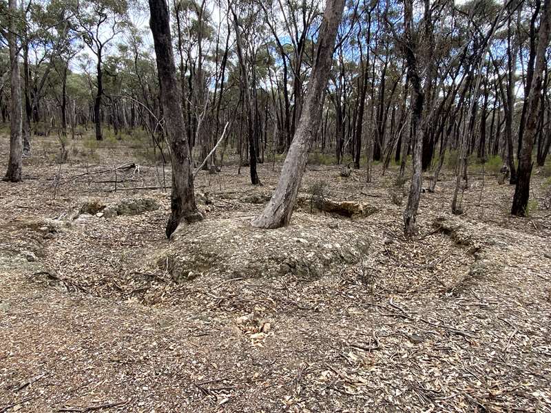 Bendigo - No. 7 Reservoir and Park