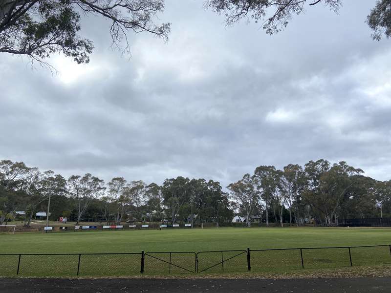 Bendigo - Spring Gully Oval Dog Off Leash Area (Spring Gully)