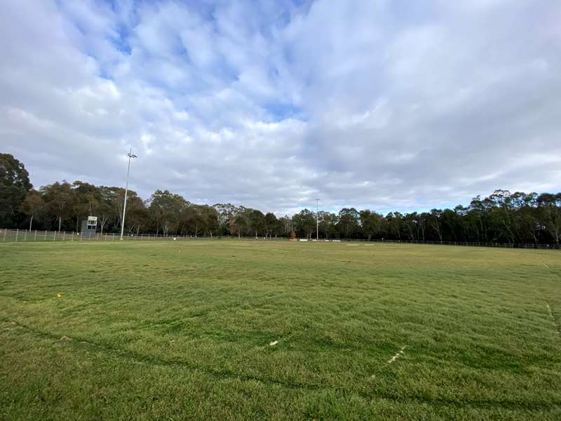 Bendigo - Strathfieldsaye Junior Oval Dog Off Leash Area (Strathfieldsaye)