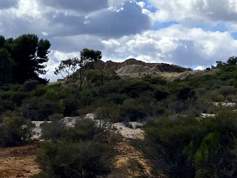 Bendigo - White Hills Sediments Geological Reserve