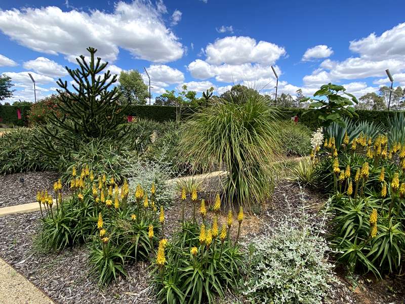 Bendigo Botanic Gardens (White Hills)