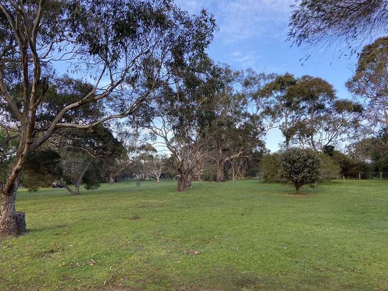 Blue Gum Reserve Dog Off Leash Area (Phillip Island)