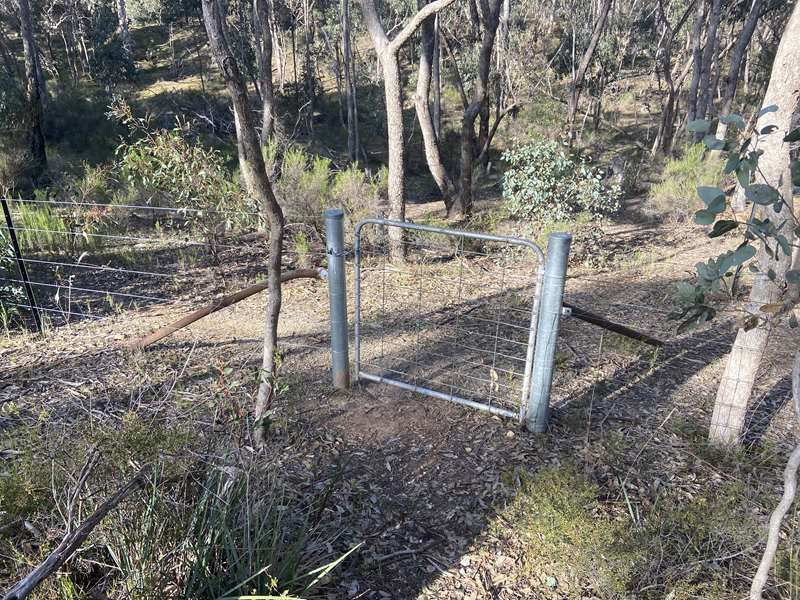 Campbells Creek - Mopoke Gully Water Wheel