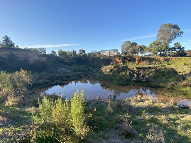 Castlemaine - Forest Creek Gold Diggings