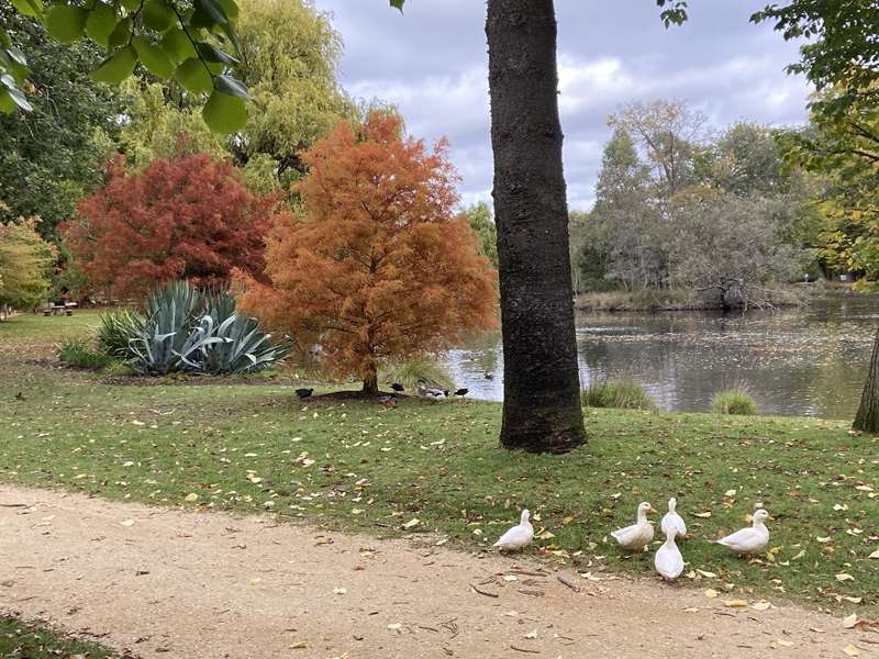 Castlemaine Botanical Gardens