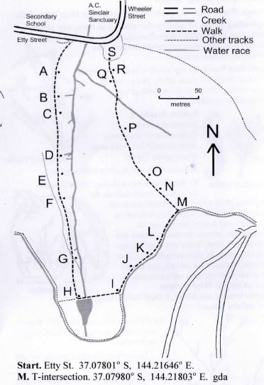 Castlemaine - Dead Horse Gully, Norwood Hill Nature Walk Map