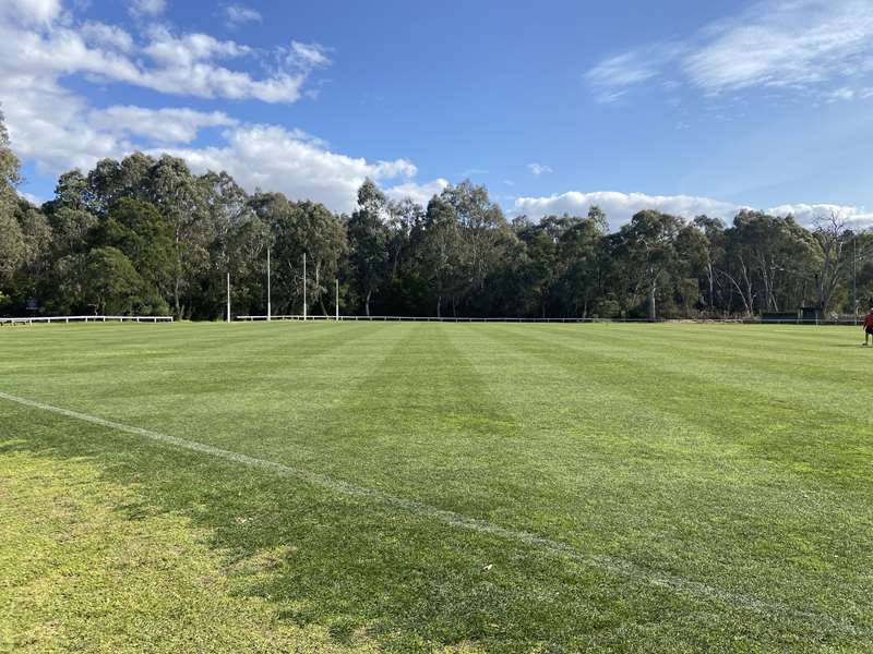 Chelsworth Park (Ivanhoe)