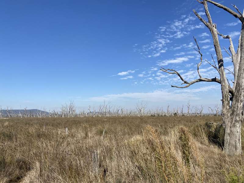 Chesney Vale - Winton Wetlands