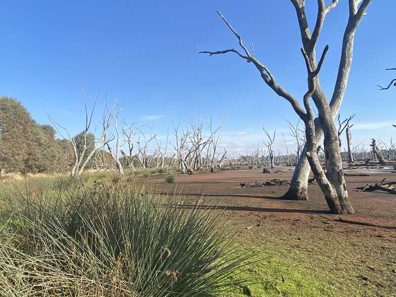 Chesney Vale - Winton Wetlands