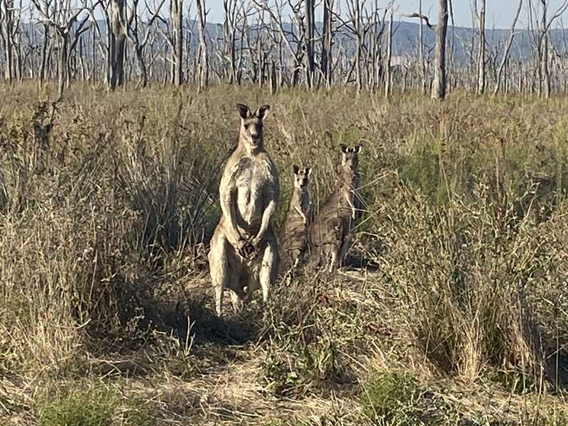 Chesney Vale - Winton Wetlands