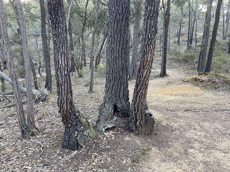 Chewton - Eureka Reef Heritage Walk