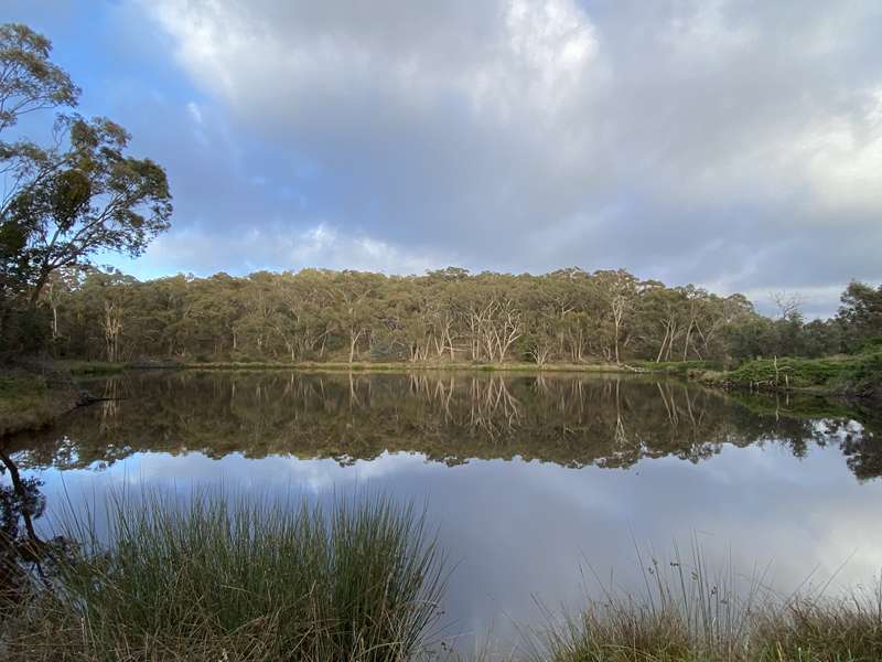 Chewton - The Junction Walk