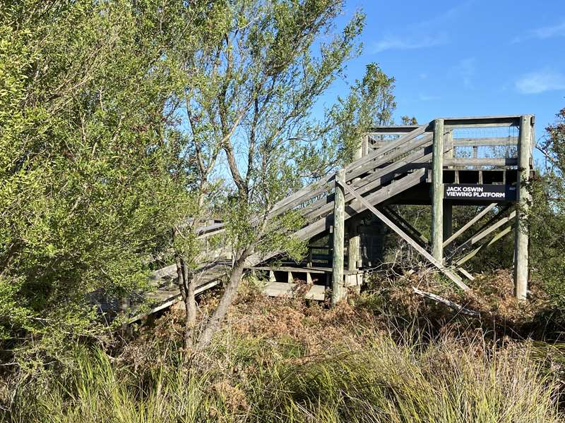 Conservation Hill and Rhyll Inlet Walks (Phillip Island)