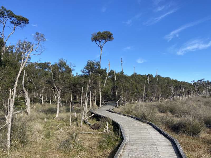 Conservation Hill and Rhyll Inlet Walks (Phillip Island)