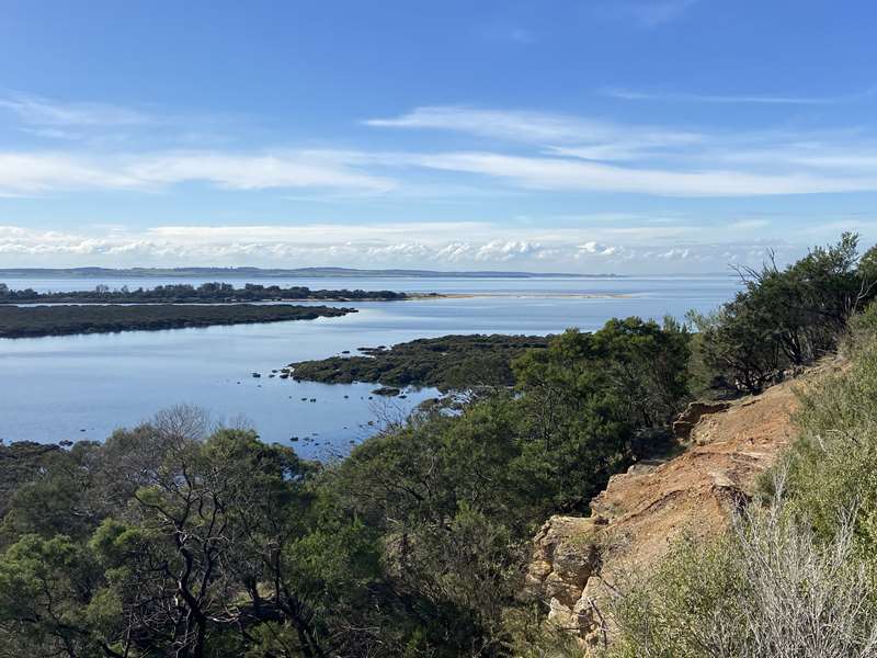 Conservation Hill and Rhyll Inlet Walks (Phillip Island)