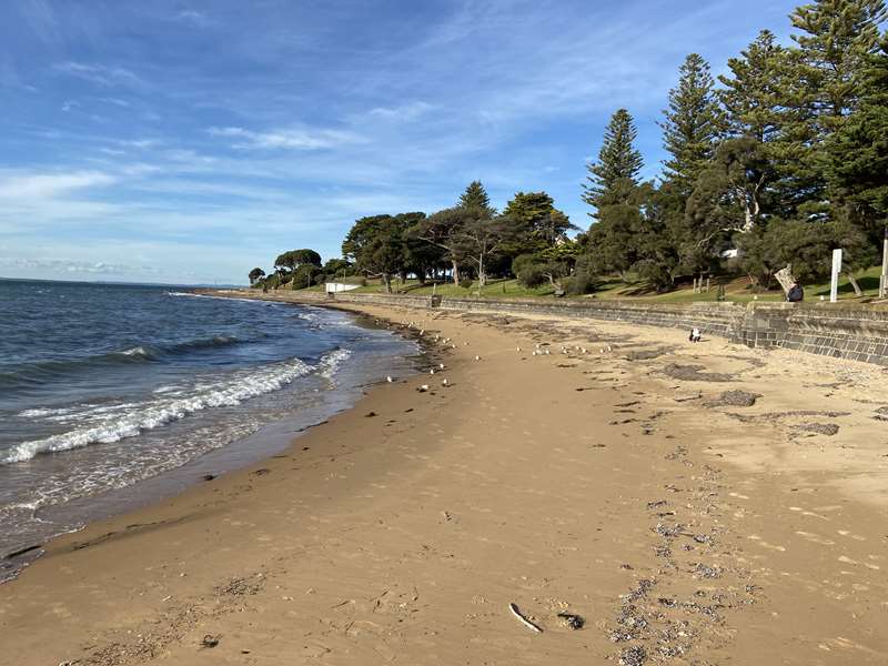 Cowes Main Beaches (Phillip Island)