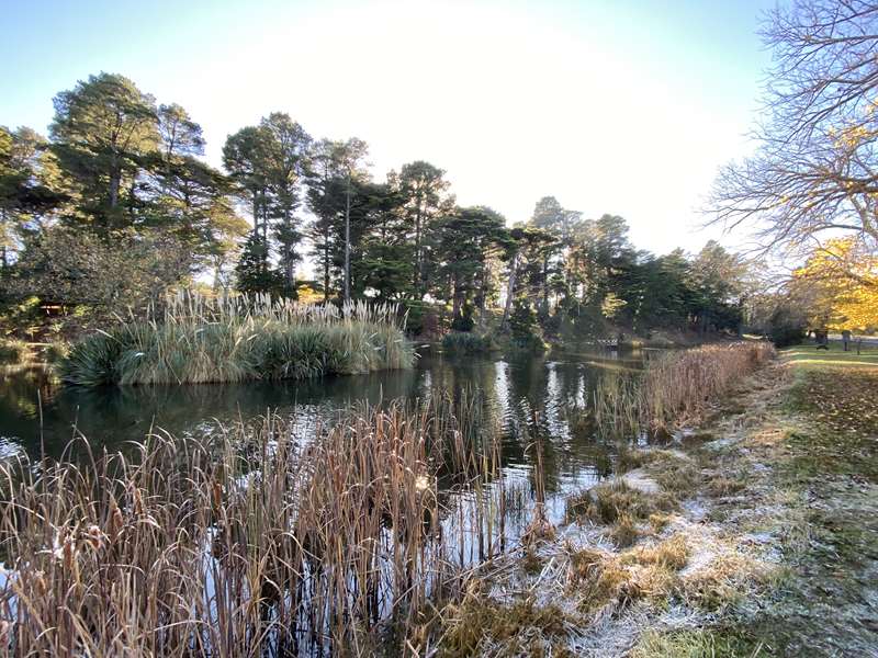 Creswick - Park Lake Circuit Walk - Central - Outside Melbourne