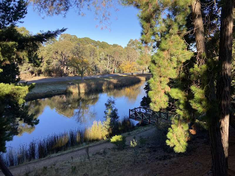 Creswick - Park Lake Circuit Walk