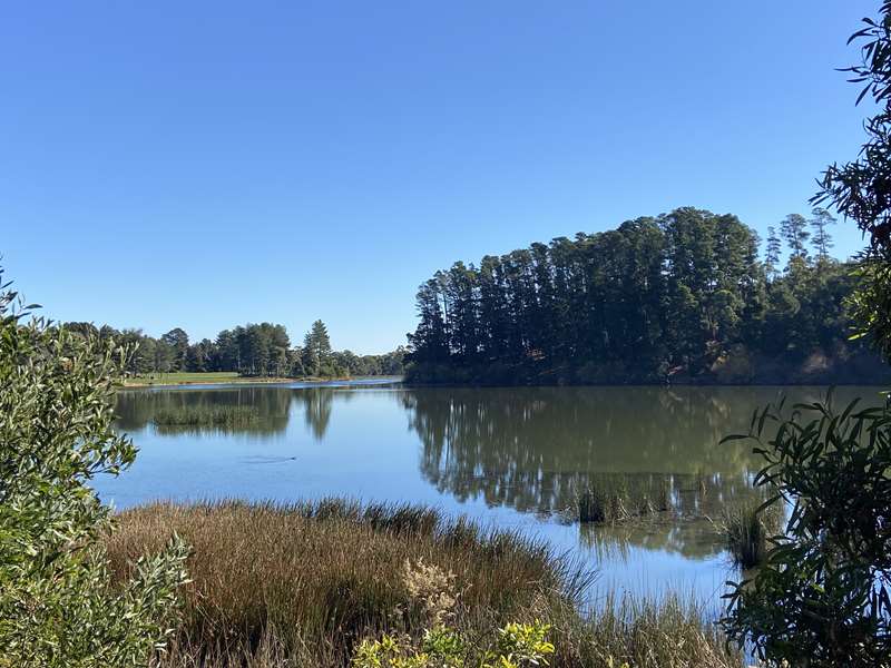 Creswick - St Georges Lake