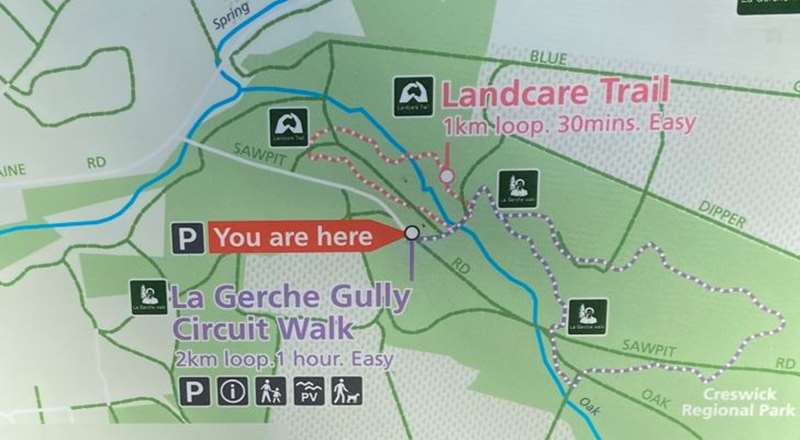 Creswick - La Gerche Gully Circuit Walk