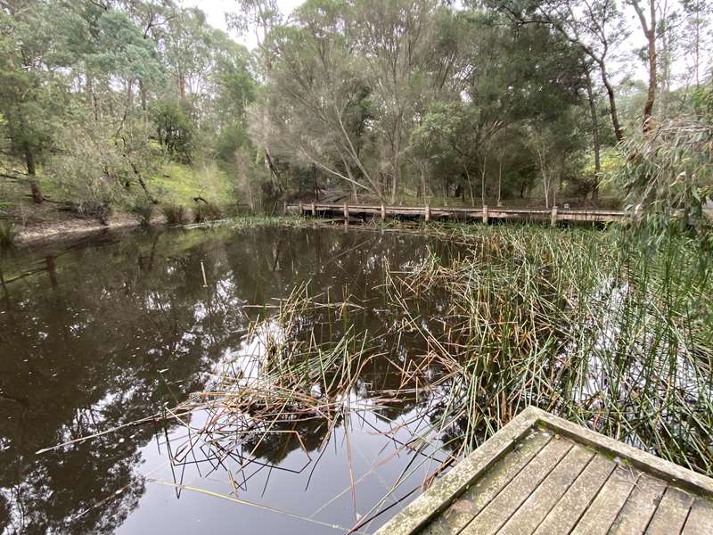 Currawong Bush Park Walks (Doncaster East)