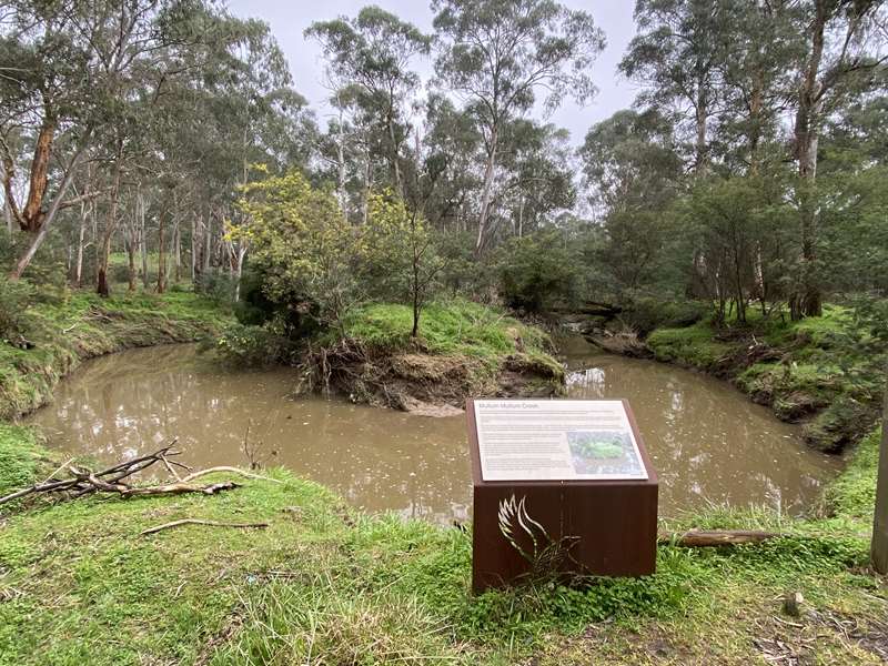 Currawong Bush Park Walks (Doncaster East)