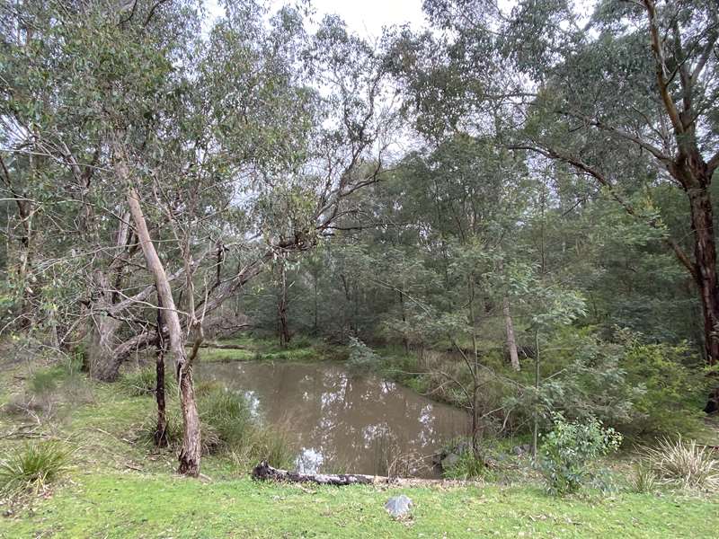 Currawong Bush Park Walks (Doncaster East)