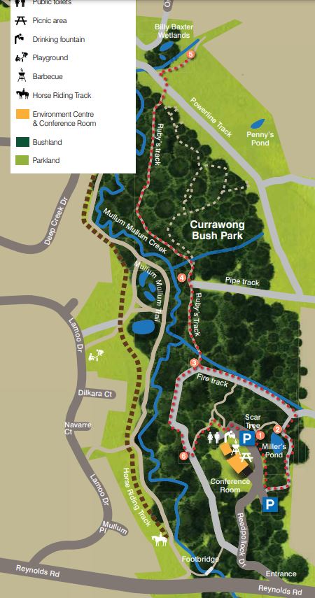 Currawong Bush Park Walks Forest Circuit Map