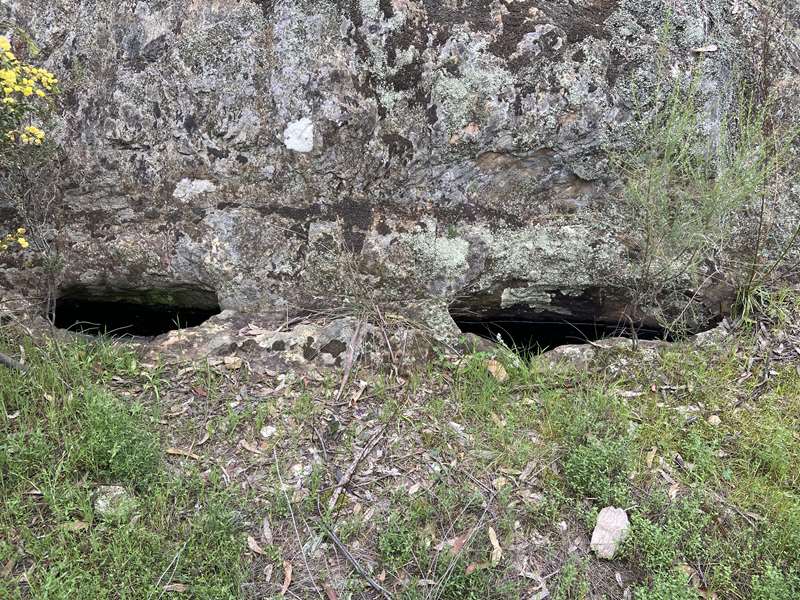 Daisy Hill - Bull Gully Aboriginal Rock Wells