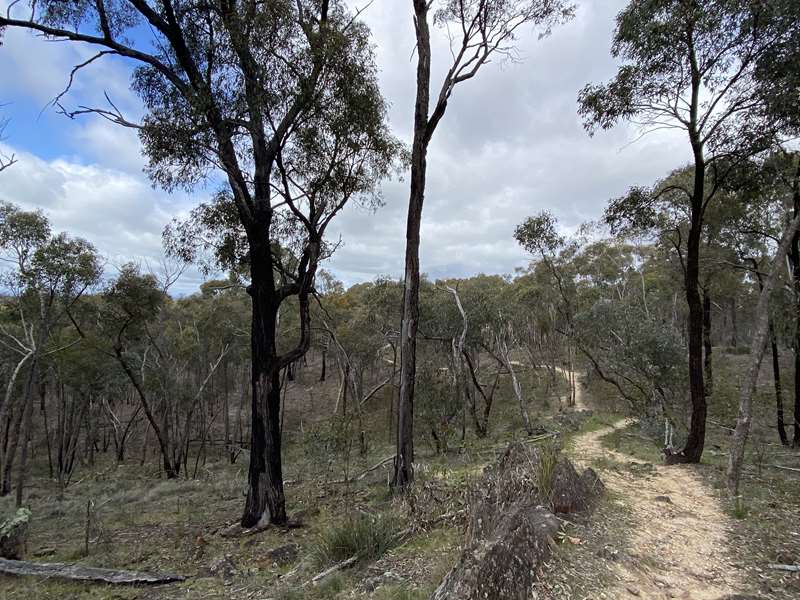 Daisy Hill - Bull Gully Aboriginal Rock Wells