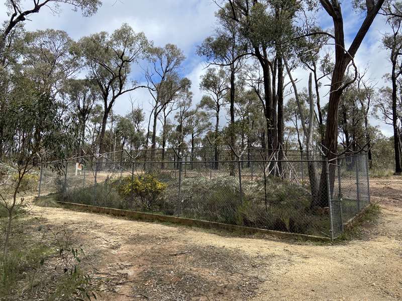 Daisy Hill - Bull Gully Aboriginal Rock Wells